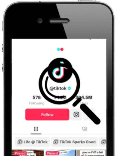 TikToklooker Image